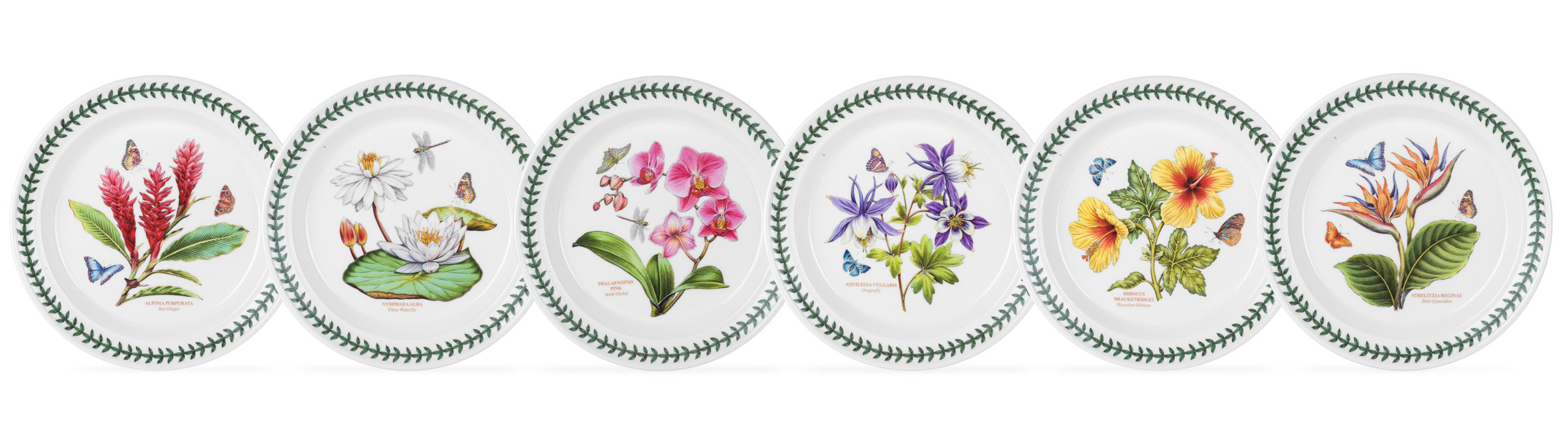 Exotic Botanic Garden Set of 6 Dinner Plates image number null